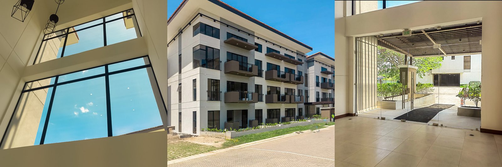 Roble Sabana™ Costa Rica